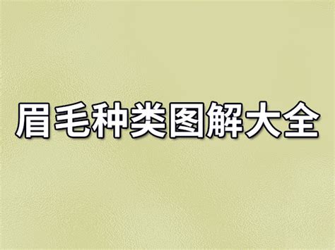 眉毛長痘痘面相|眉毛面相图解大全：28种眉毛类型图文详细分析！